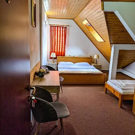 武士之家膳食公寓 布拉索夫