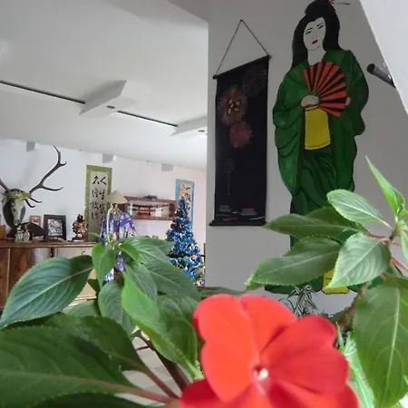 Casa Samurai 3* Brasov
