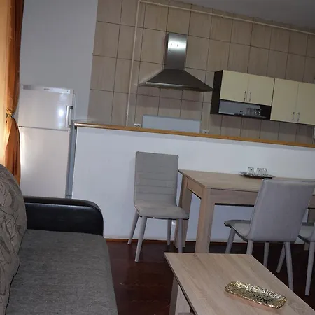 武士之家膳食公寓 布拉索夫