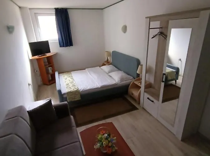 Guest house Casa Samurai 3*