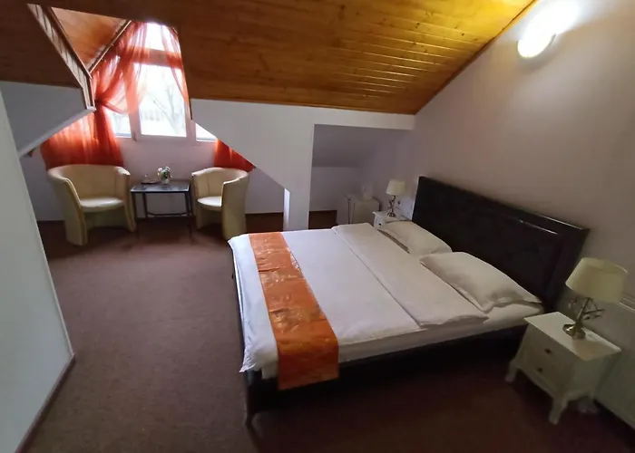 Pensiune Casa Samurai Brașov