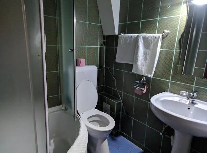 Pensiune Casa Samurai