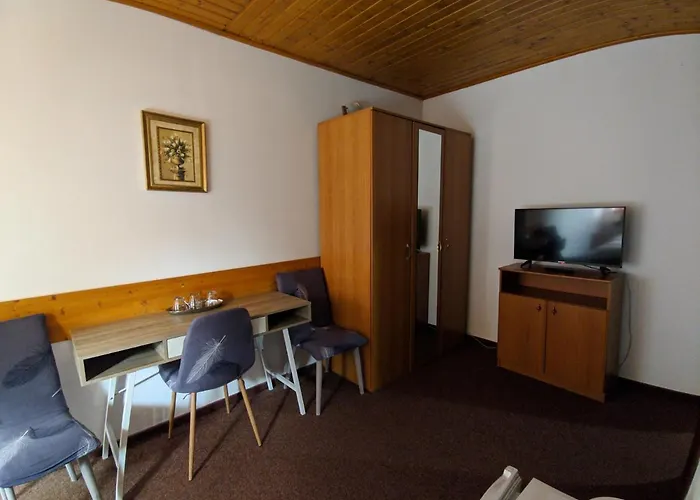 Pensiune Casa Samurai 3*