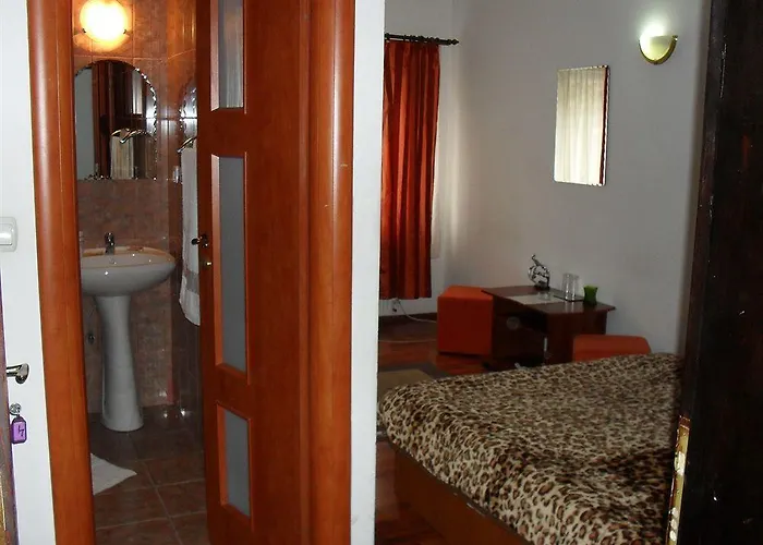 Pensiune Casa Samurai Brașov