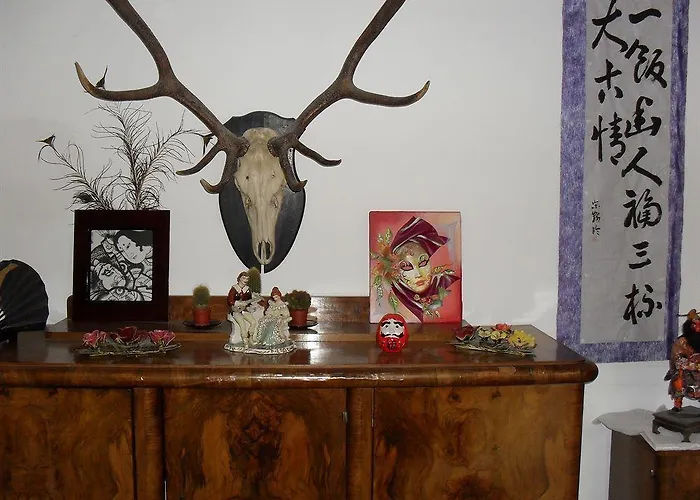 Pensiune Casa Samurai Brașov