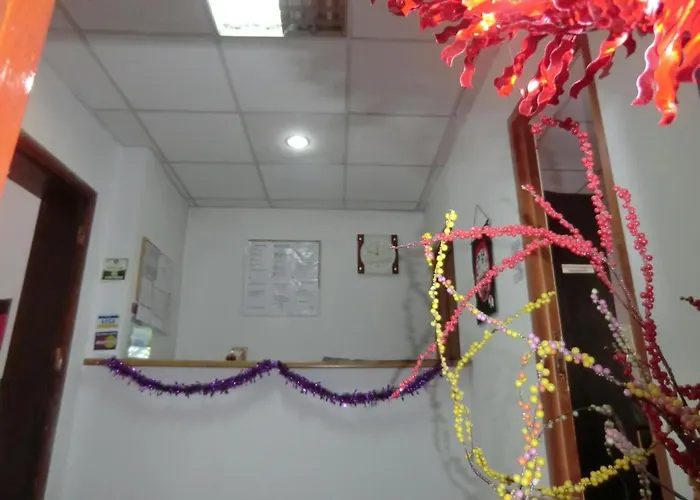 Casa Samurai Pensiune Brașov